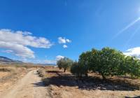 Venta - Terreno - Yecla - Rural location