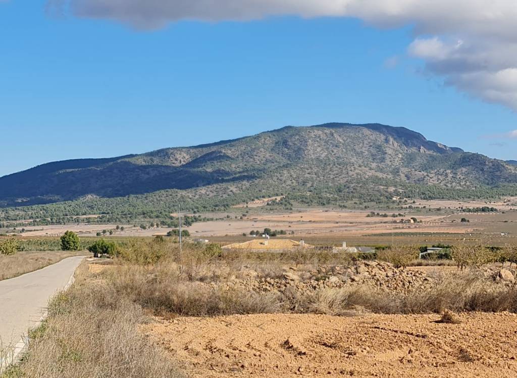 Venta - Terreno - Yecla - Rural location