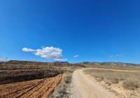 Venta - Terreno - Yecla - Rural location