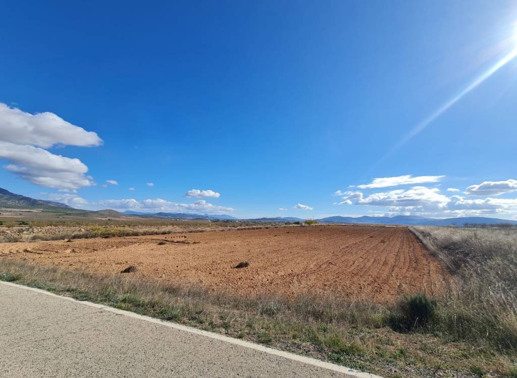 Venta - Terreno - Yecla - Rural location