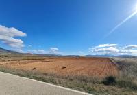 Venta - Terreno - Yecla - Rural location