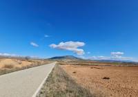 Venta - Terreno - Yecla - Rural location