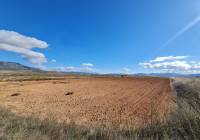 Venta - Terreno - Yecla - Rural location