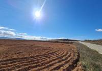 Venta - Terreno - Yecla - Rural location