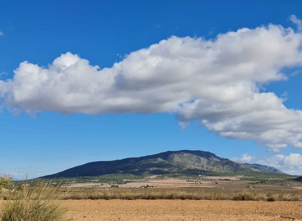 Venta - Terreno - Yecla - Rural location