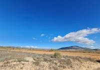 Venta - Terreno - Yecla - Rural location