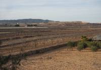 Venta - Town House - Pinoso - Rural location