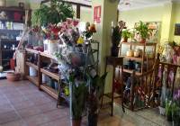 Venta - Town House - Pinoso - Urban location