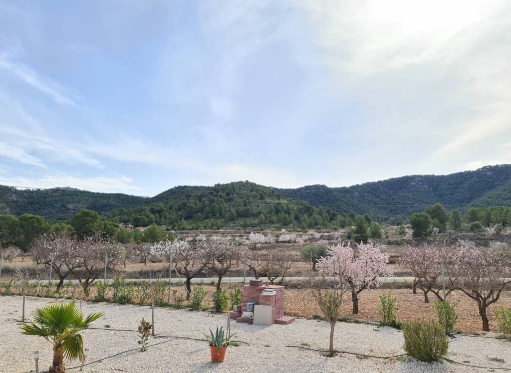 Venta - Villa - Abanilla - Urban location