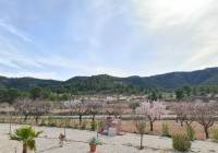 Venta - Villa - Abanilla - Urban location