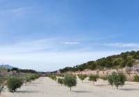 Venta - Villa - Abanilla - Urban location