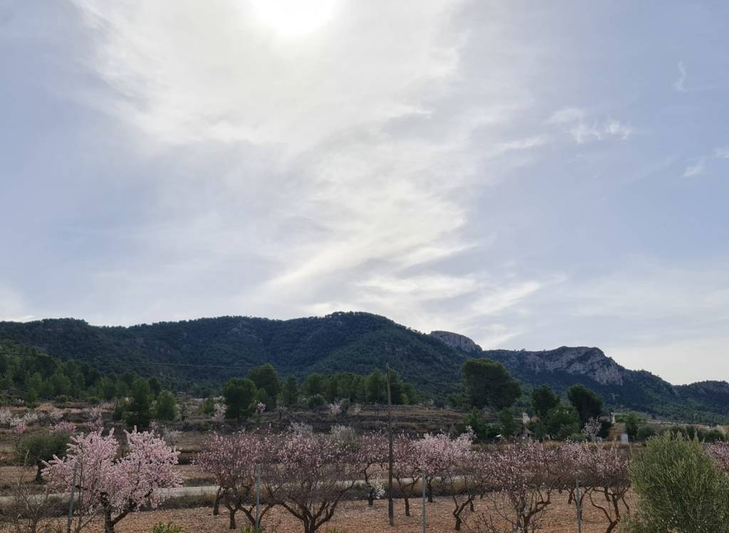 Venta - Villa - Abanilla - Urban location