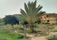 Venta - Villa - Aspe - Rural location