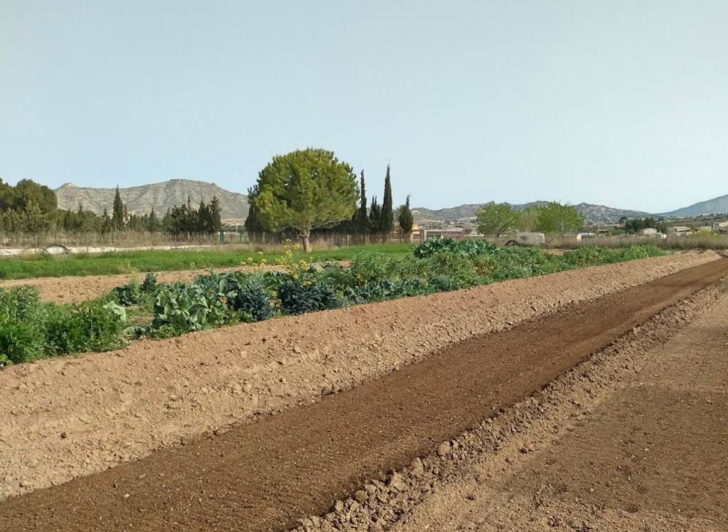 Venta - Villa - Aspe - Rural location