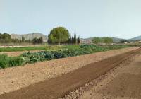 Venta - Villa - Aspe - Rural location