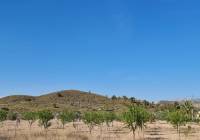 Venta - Villa - Barinas - Rural location