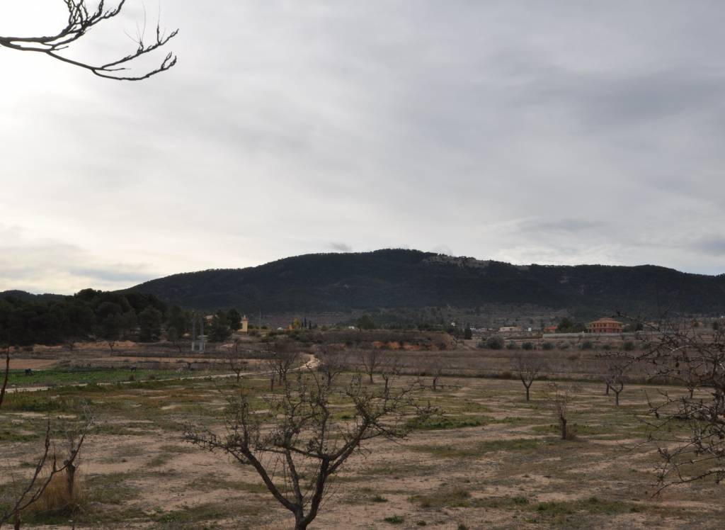 Venta - Villa - Chinorlet - Rural location