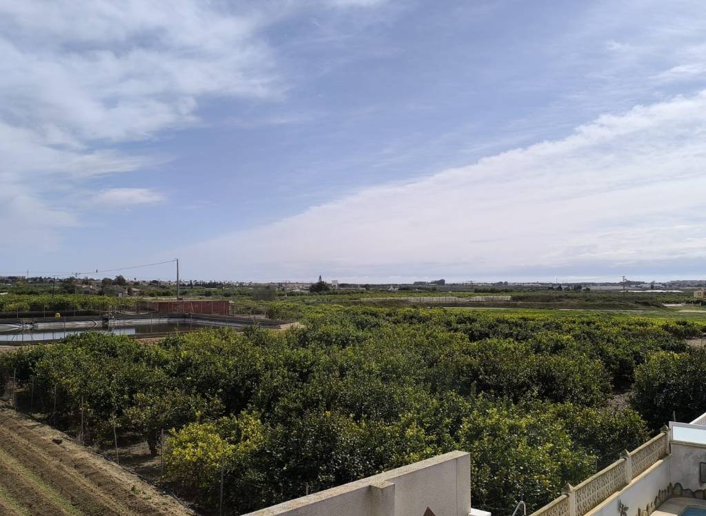 Venta - Villa - El Raso - Urban location