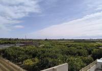 Venta - Villa - El Raso - Urban location