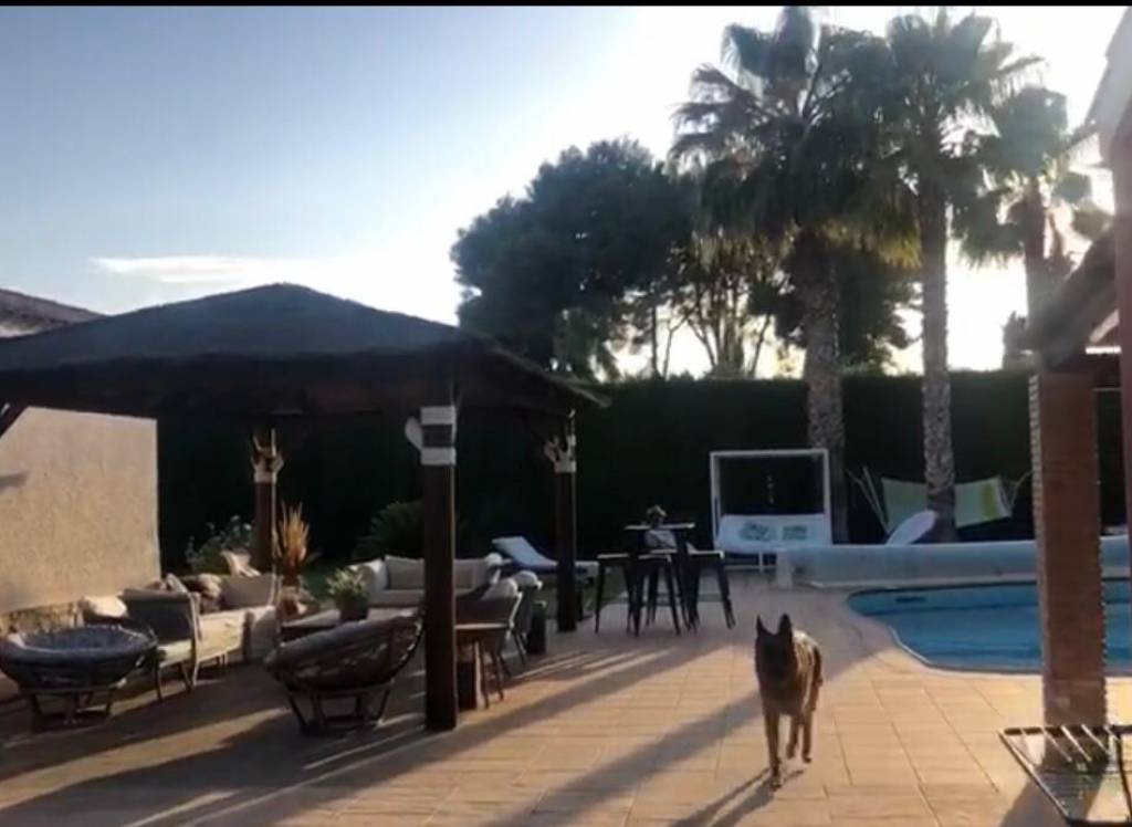 Venta - Villa - Elda - Urban location