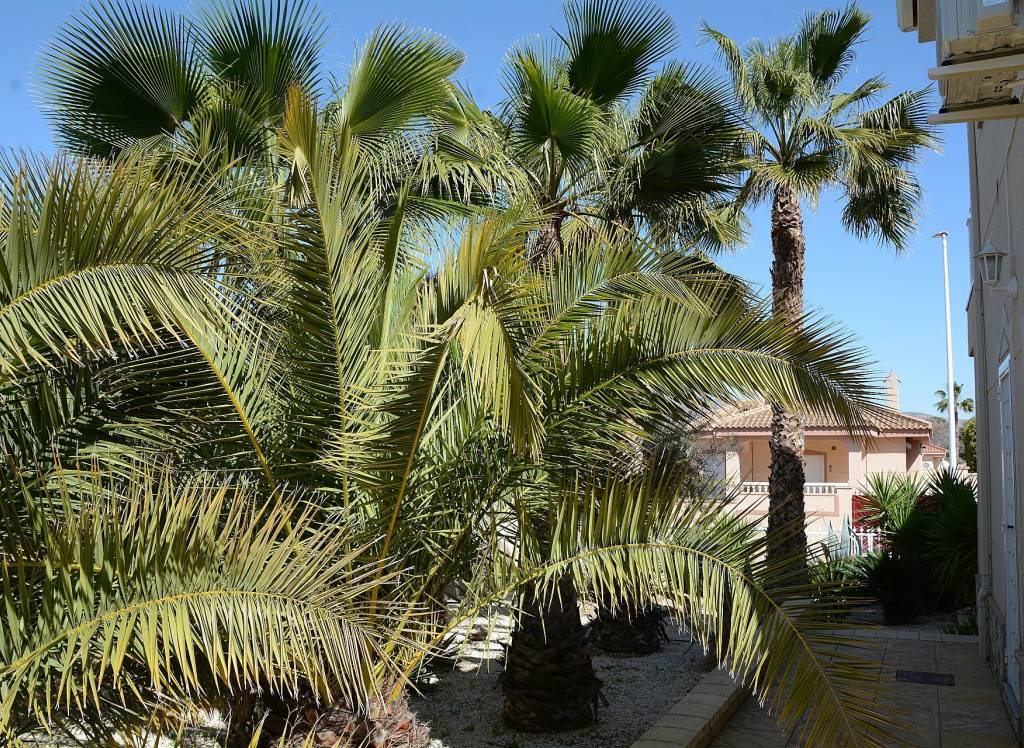 Venta - Villa - Hondón de las Nieves