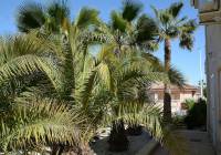 Venta - Villa - Hondón de las Nieves