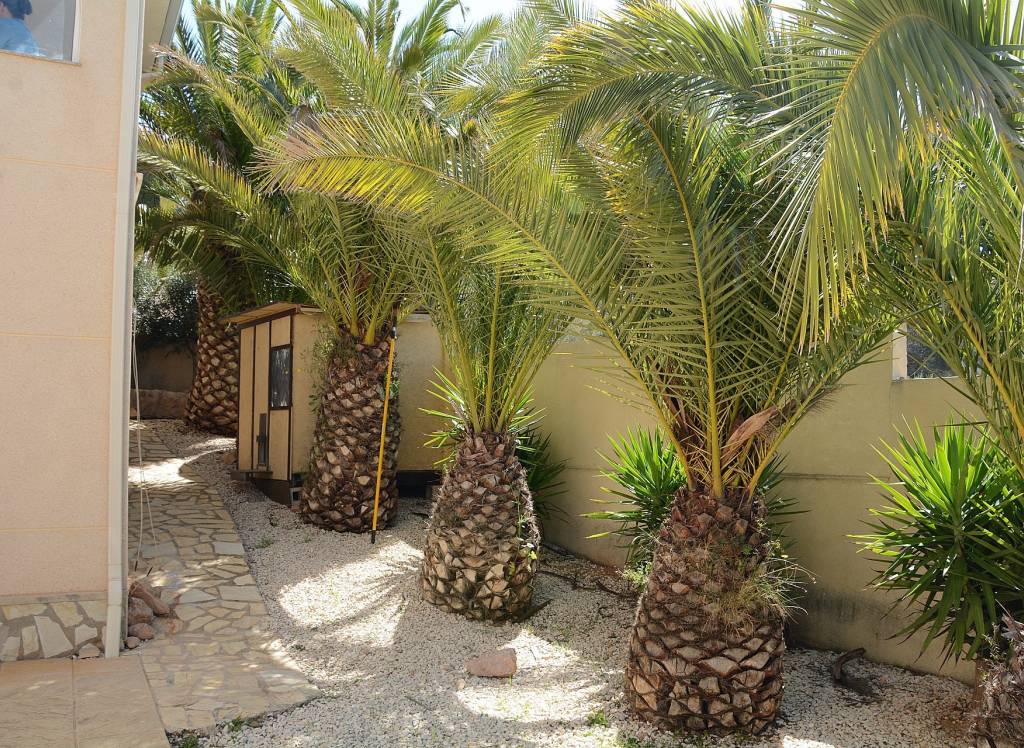 Venta - Villa - Hondón de las Nieves