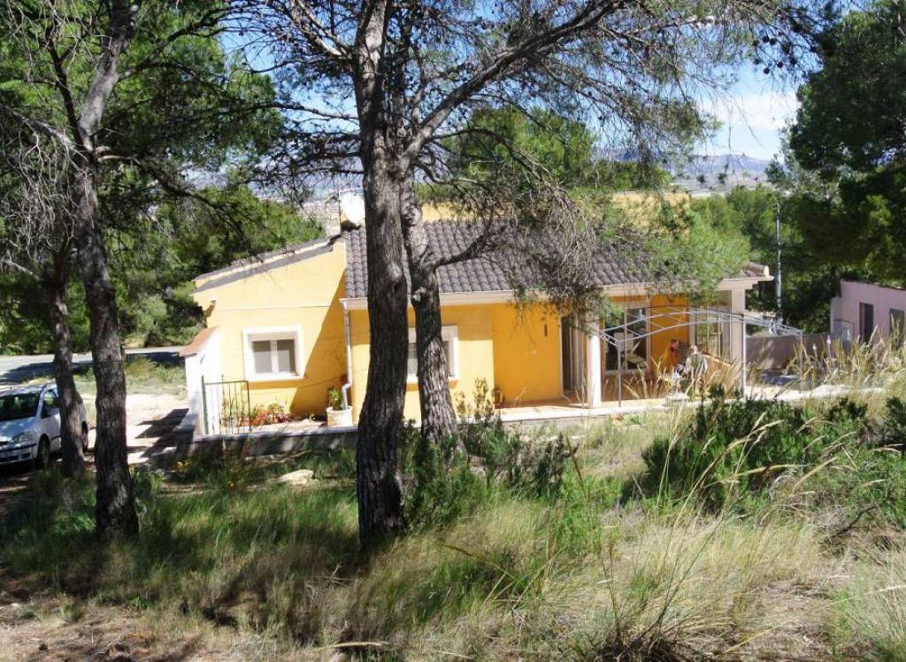 Venta - Villa - Jumilla - Rural location