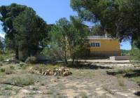Venta - Villa - Jumilla - Rural location