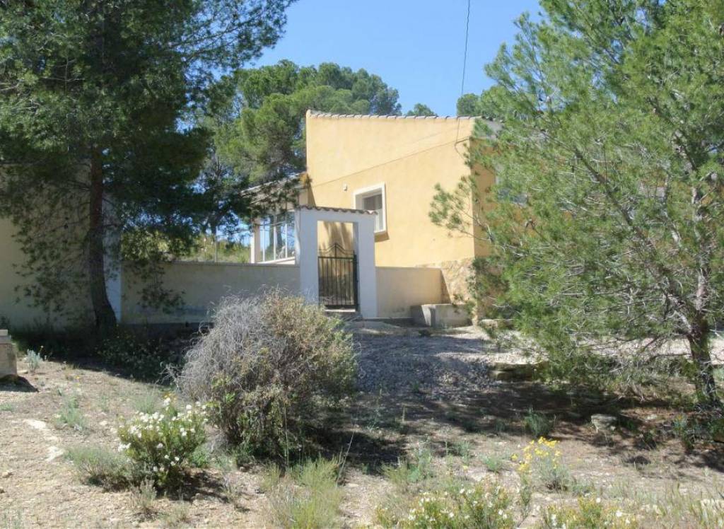 Venta - Villa - Jumilla - Rural location