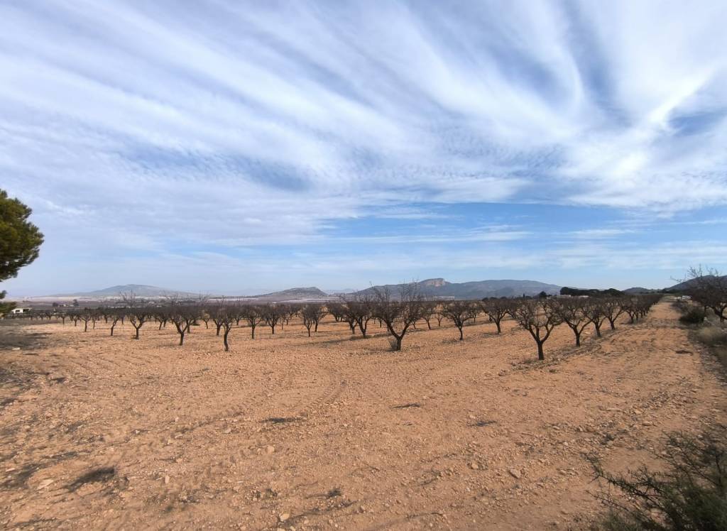 Venta - Villa - Monovar - In hamlet