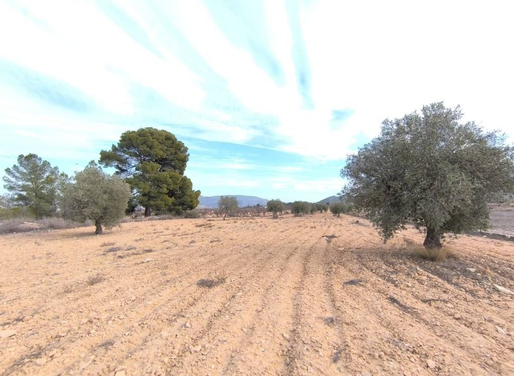 Venta - Villa - Monovar - In hamlet