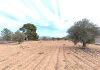 Venta - Villa - Monovar - In hamlet