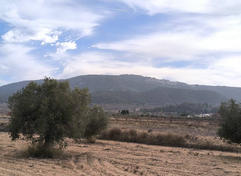 Venta - Villa - Monovar - In hamlet