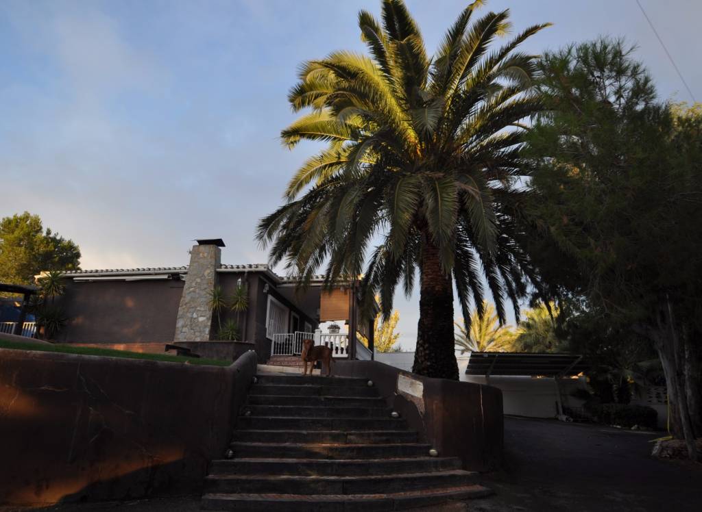 Venta - Villa - Monóvar/Monóver - Rural location