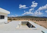 Venta - Villa - Pinoso - Rural location