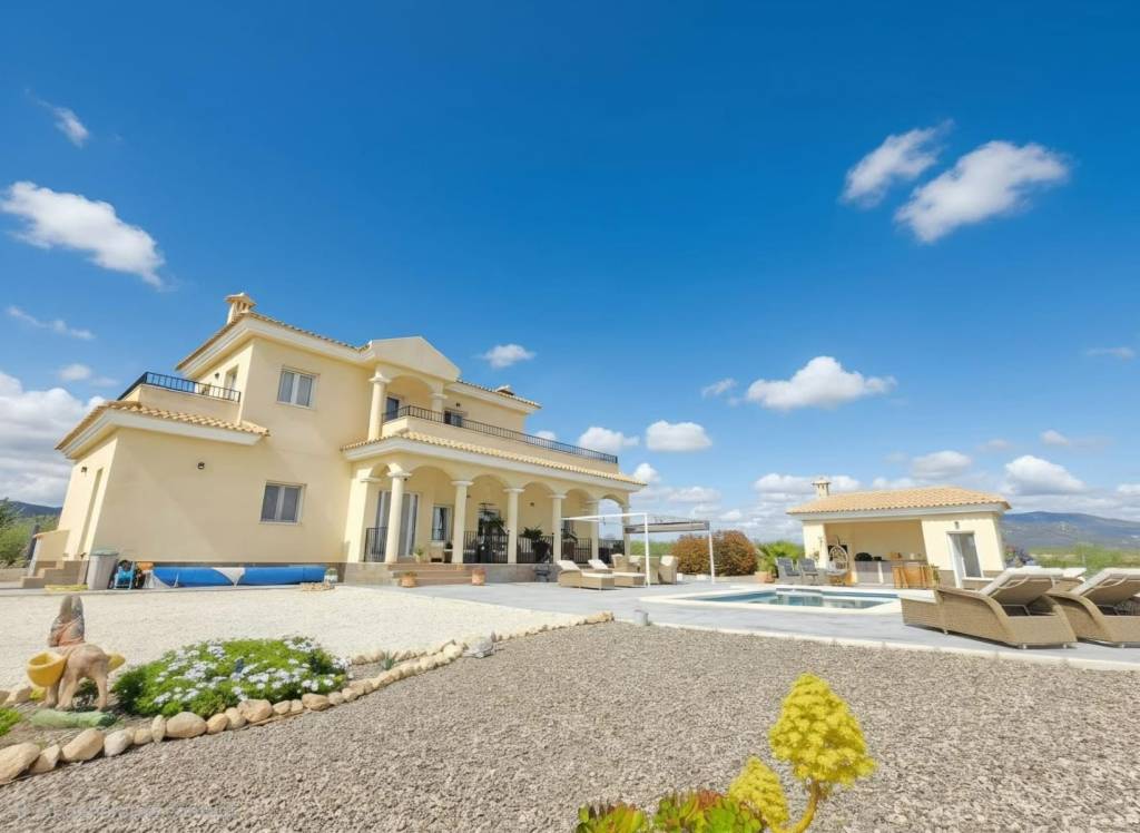 Venta - Villa - Pinoso - Rural location