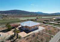 Venta - Villa - Pinoso - Rural location
