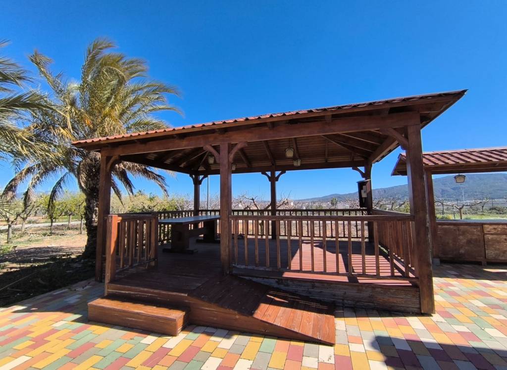 Venta - Villa - Pinoso - Rural location