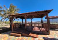 Venta - Villa - Pinoso - Rural location