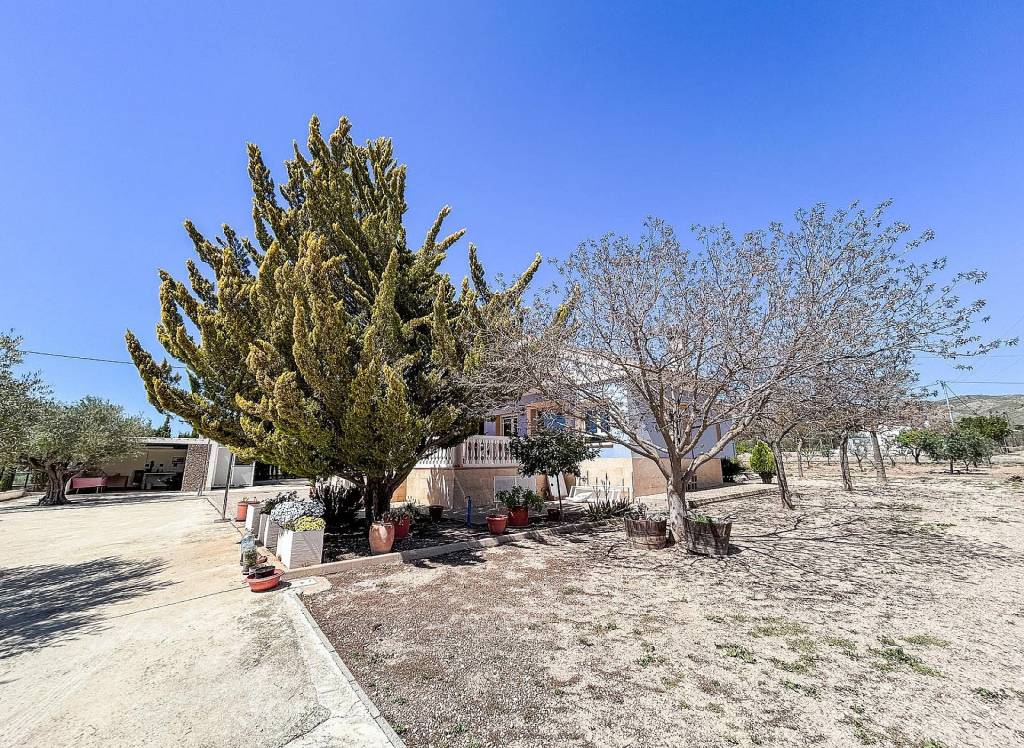 Venta - Villa - Yecla