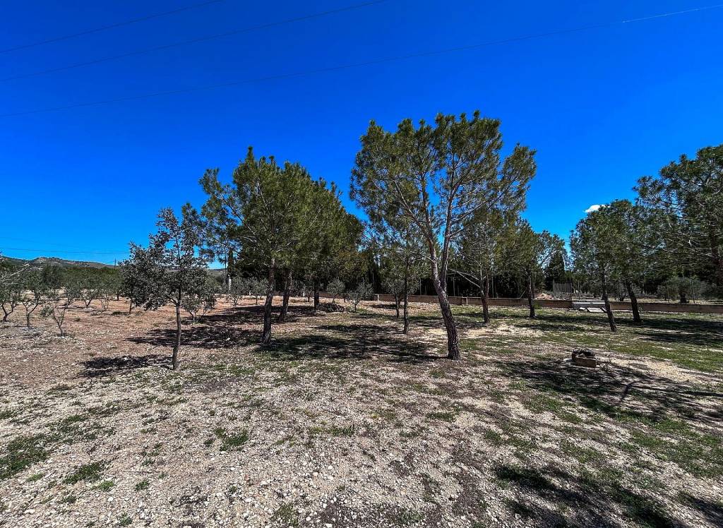 Venta - Villa - Yecla