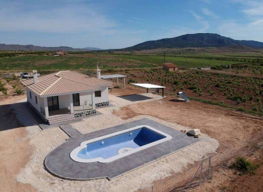 Villa - New Build - Pinoso - Pinoso