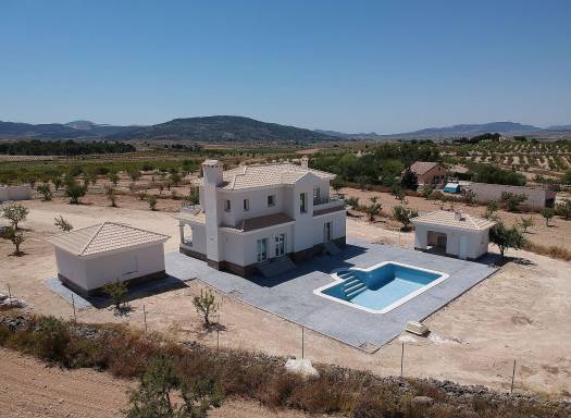 Villa - New Build - Pinoso - Pinoso
