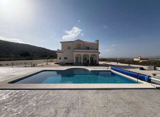 Villa - New Build - Pinoso - Pinoso