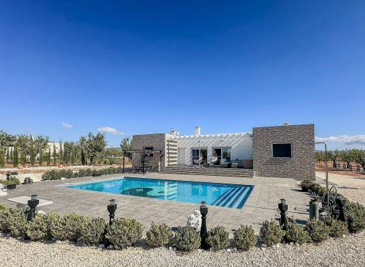 Villa - New Build - Pinoso - Pinoso