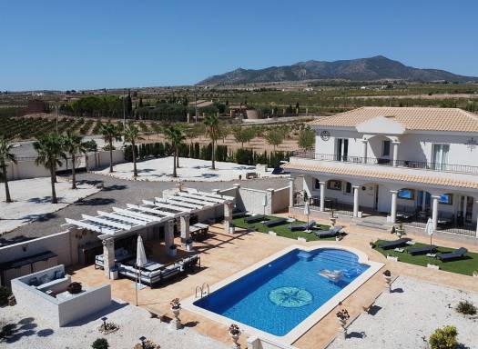 Villa - New Build - Pinoso - Pinoso