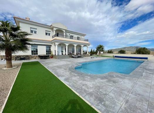 Villa - Nueva construcción  - Pinoso - Pinoso