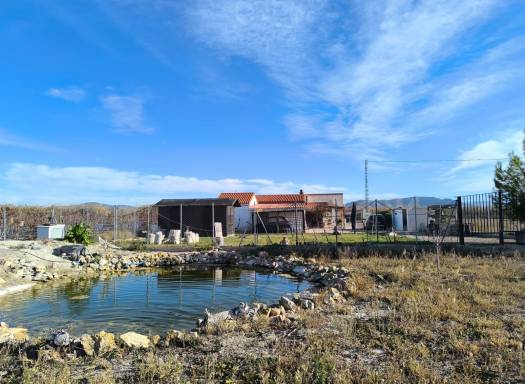 Villa - Resale - Villena - Rural location