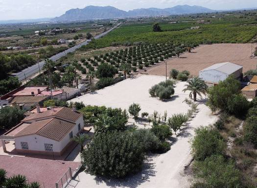 Villa - Venta - Crevillente - Crevillente